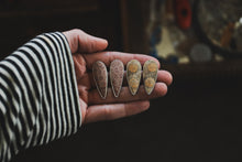 Load image into Gallery viewer, Ridgeline Studs - Fossilized Coral
