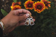 Load image into Gallery viewer, Montana Agate Ray Dangles
