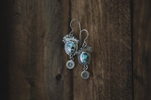 Load image into Gallery viewer, Jack Rabbit Earrings
