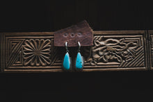 Load image into Gallery viewer, Turquoise Ray Huggies
