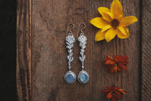 Load image into Gallery viewer, Moonstone Indian Paintbrush Earrings
